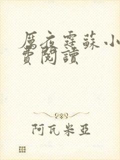 厉夜霆苏小汐免费阅读