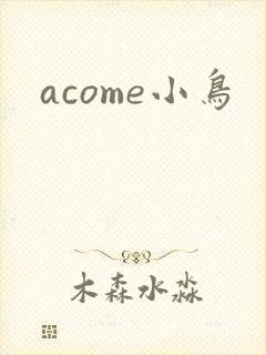 acome小鸟