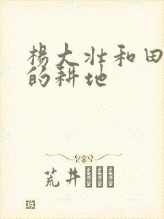 杨大壮和田桂花的耕地