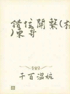 错位关系(校园)东哥