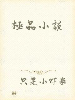 极品小说