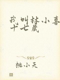 我叫林小喜今年十七岁