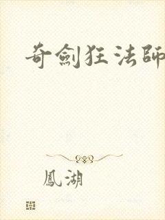 奇剑狂法师