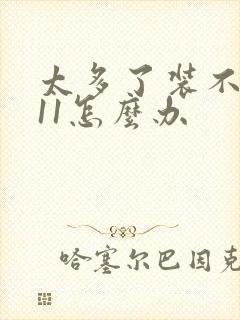 太多了装不下h11怎么办