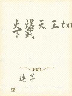 火爆天王txt下载