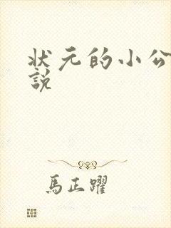 状元的小公主小说