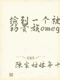 捡到一个被抹布的贵族omega