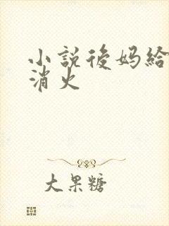 小说后妈给我消消火