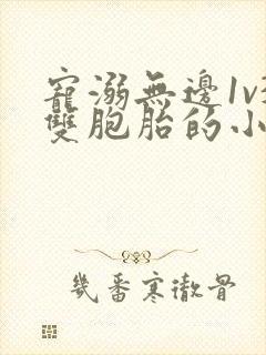 宠溺无边1v3双胞胎的小说