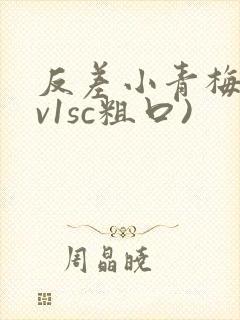 反差小青梅(1v1sc粗口)