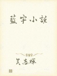 蓝宇小说