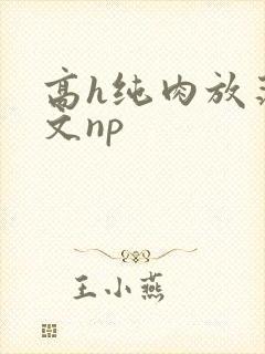 高h纯肉放荡h文np
