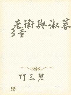 老卫与淑蓉第13章