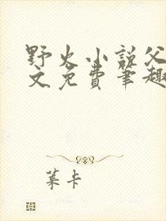 野火小说父女全文免费笔趣阁