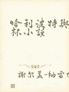 哈利波特与火焰杯小说