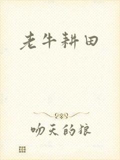 老牛耕田