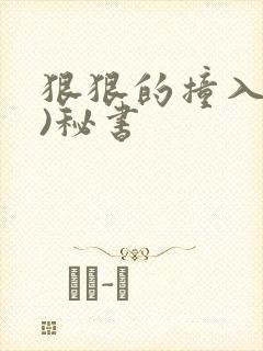 狠狠的撞入(h)秘书