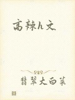 高辣h文