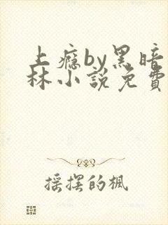 上瘾by黑暗森林小说免费