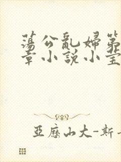 荡公乱妇第51章小说小莹