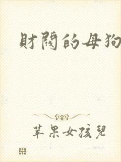 财阀的母狗们