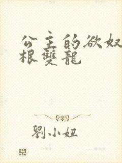 公主的欲奴h四根双龙