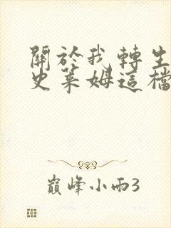 关于我转生变成史莱姆这档事小说