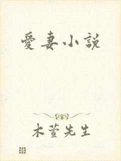 爱妻小说