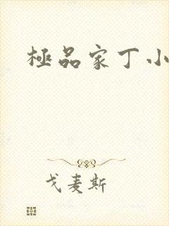 极品家丁小说