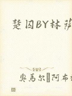 楚囚BY林萨