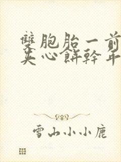 双胞胎一前一后夹心饼干年下