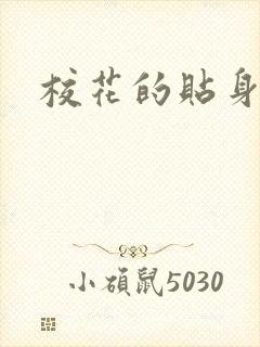 校花的贴身杀手