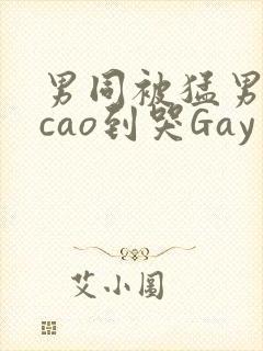 男同被猛男房东cao到哭Gay