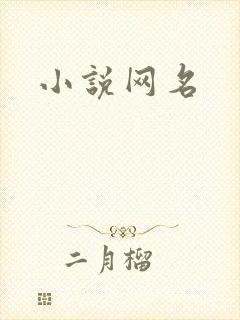 小说网名