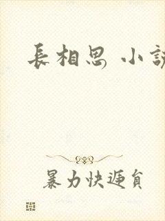 长相思 小说