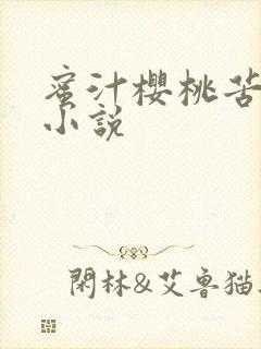 蜜汁樱桃苦咖啡小说