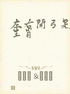 左右开弓是什么生肖