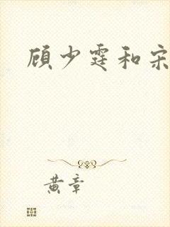 顾少霆和宋斯曼