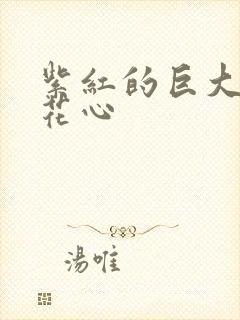 紫红的巨大顶开花心