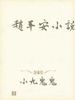 赵平安小说主角