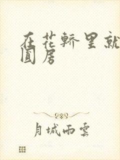 在花轿里就开始圆房