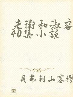 老卫和淑容1-40集小说