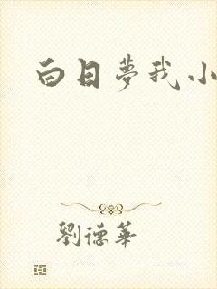 白日梦我小说