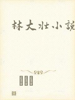 林大壮小说阅读