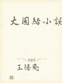 大团结小说阅读