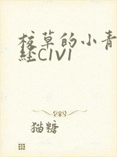 校草的小青梅不经C1V1