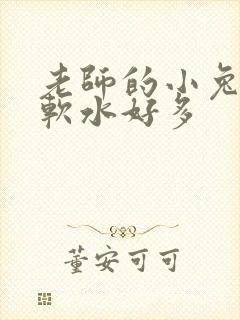 老师的小兔子好软水好多