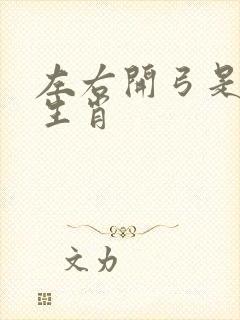 左右开弓是什么生肖