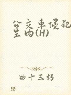 公交车侵犯小男生肉(H)