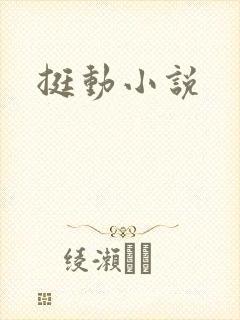 挺动小说